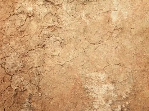 Composición del Suelo