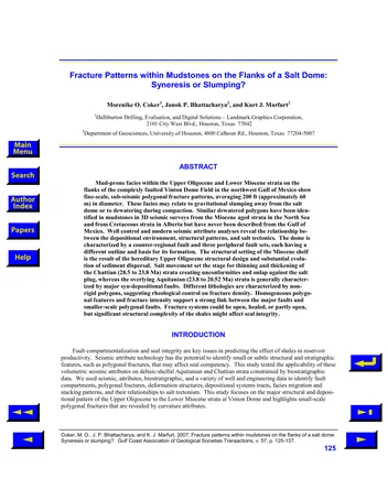 Más sobre Patrones de Fractura dentro de Lodos en los Flancos de un Domo Salino: ¿Sineresis o Hundimiento?
